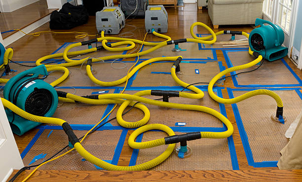 Professional Water Extraction technician working in Leakey, TX
